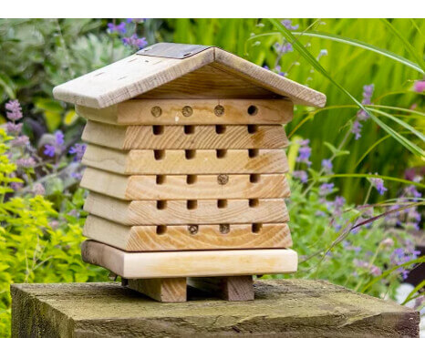 solitary bee hive
