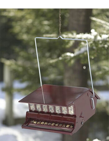 squirrel proof bird feeder