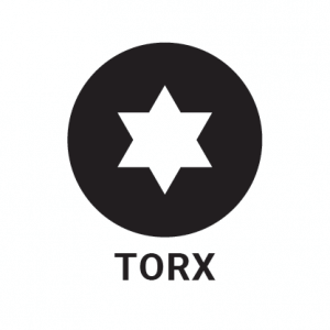 torx head