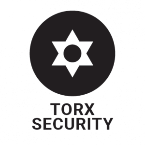 Torx security screw head profile