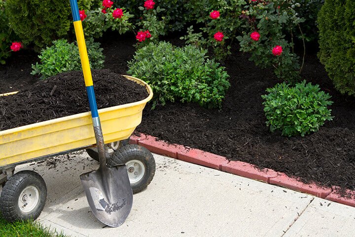 wheelbarrow full of mulch