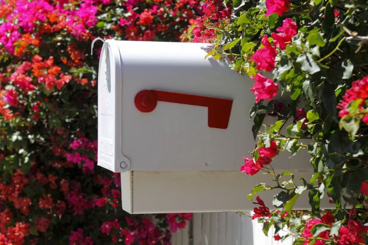 Mailbox surrounded by flowers