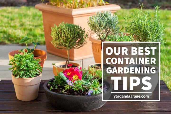 10 Helpful & Easy Container Gardening Tips – Yard and Garage