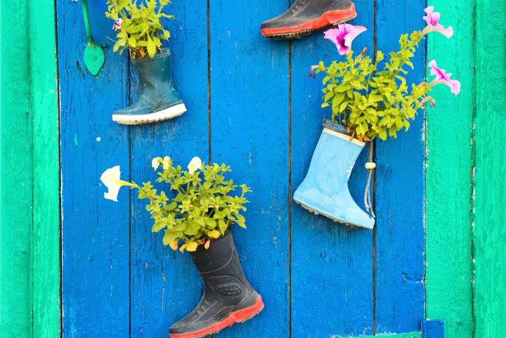 water boot container garden