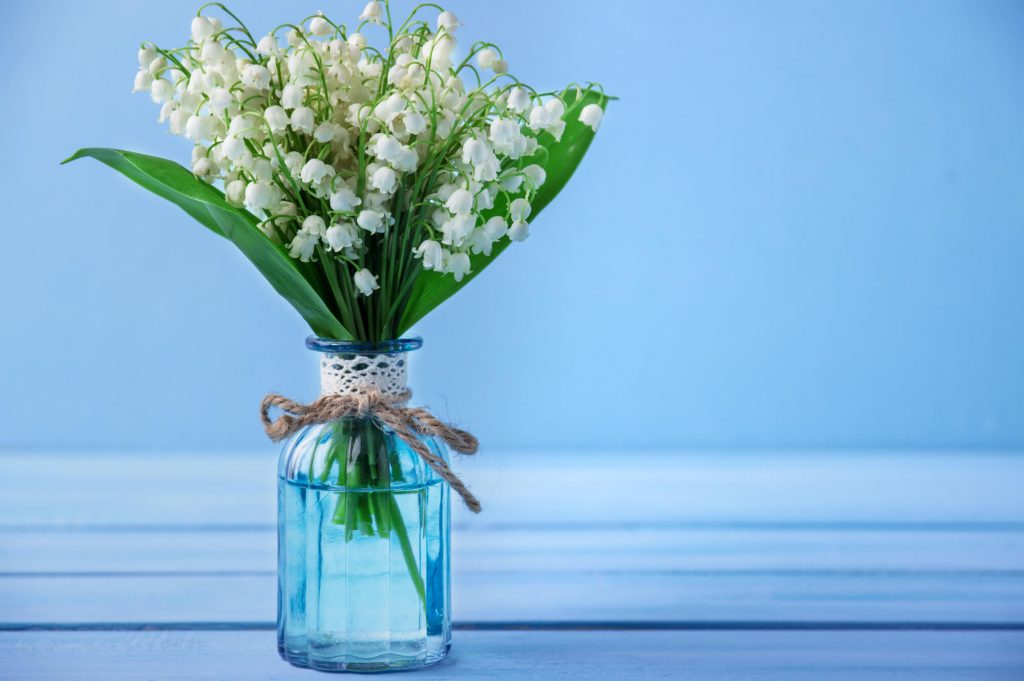 white lily-of-the-valley in a vase