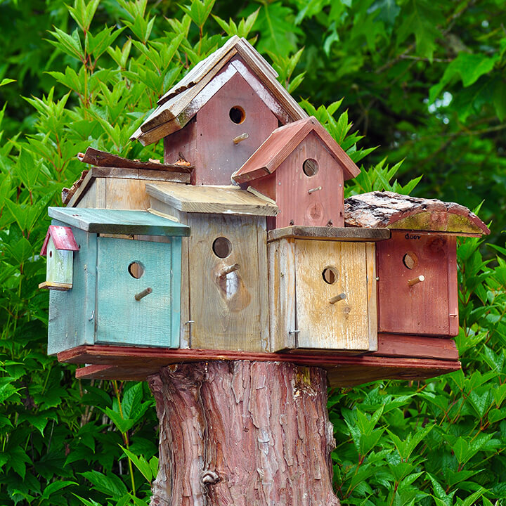 colorful bird houses