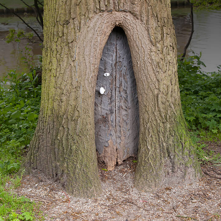 magical looking door inside the base of a tree