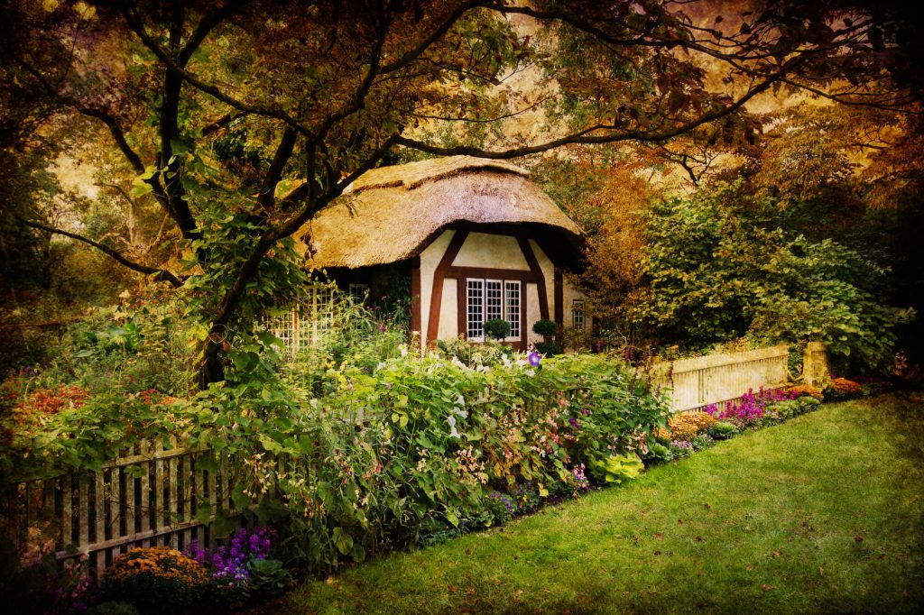 beautiful cottage garden