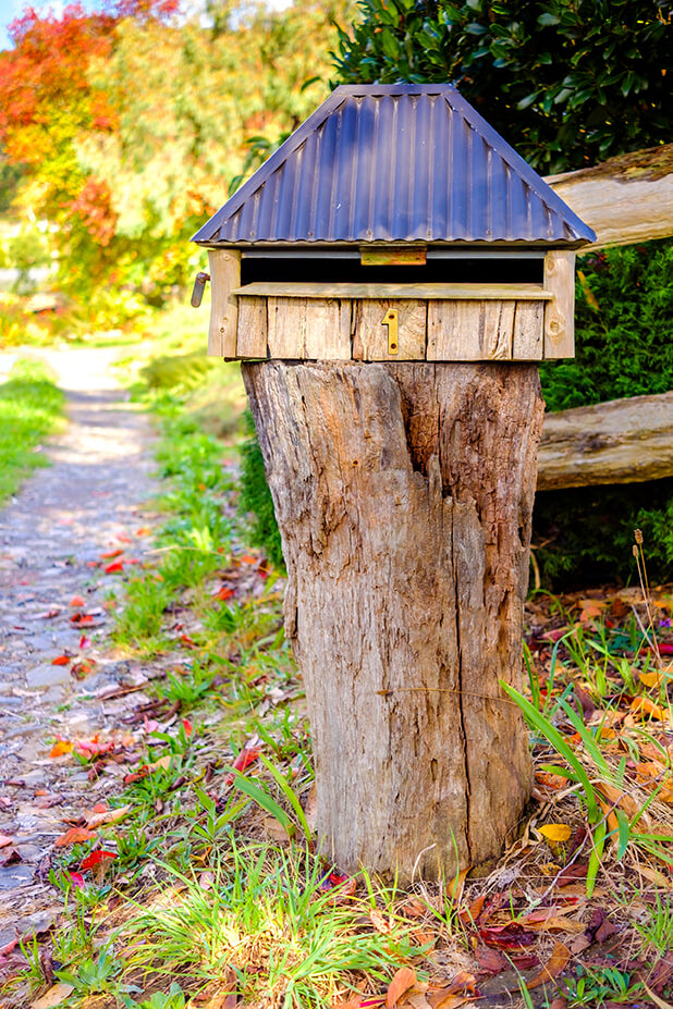 tree stump with a mailbox on top