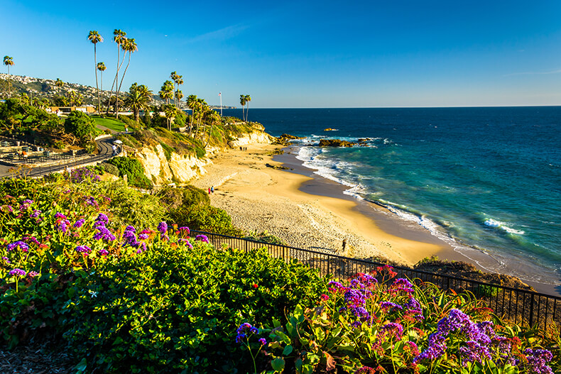 Pacific Coast flowers