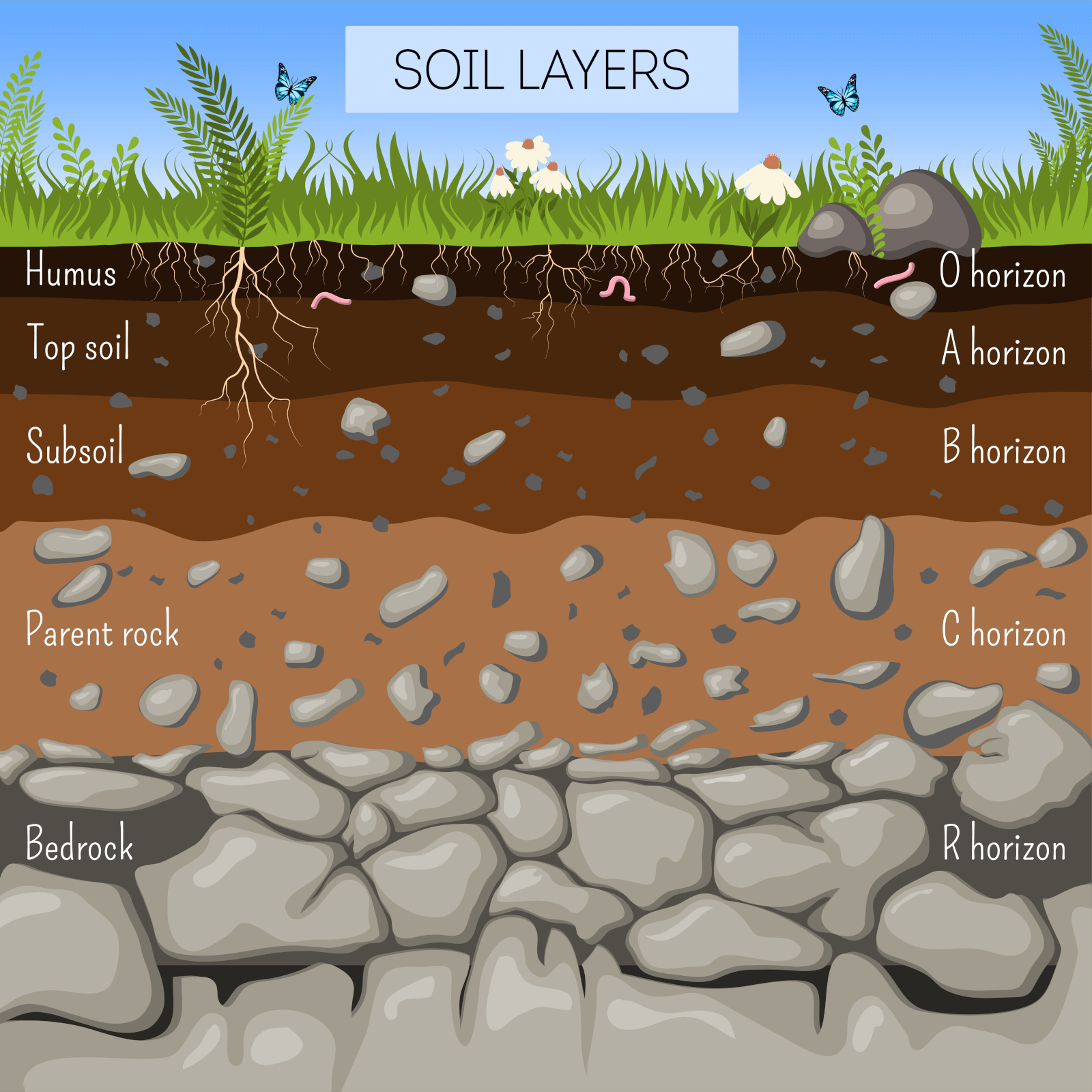 Soil Layers Diagram