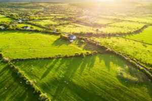 Aerial view of lush green pastures