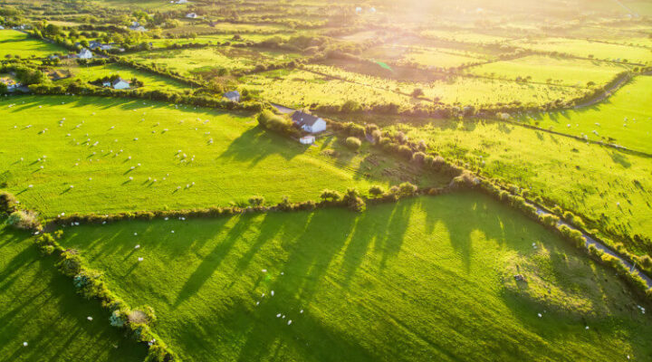 Aerial view of lush green pastures