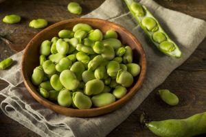bowl of raw fava beans