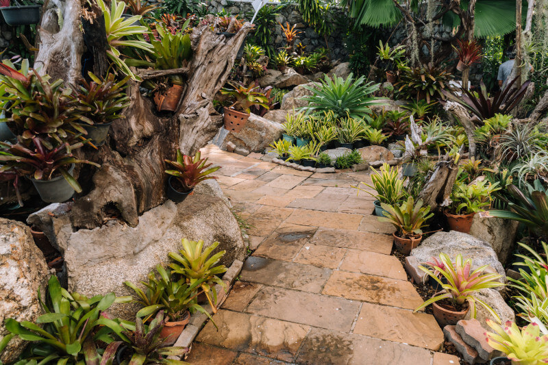 brick paver path through a succulent garden