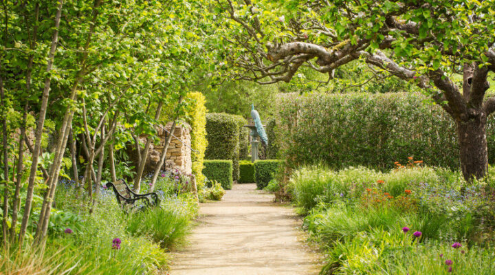 garden pathway