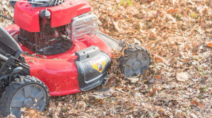 Lawn mower mulching fallen leaves