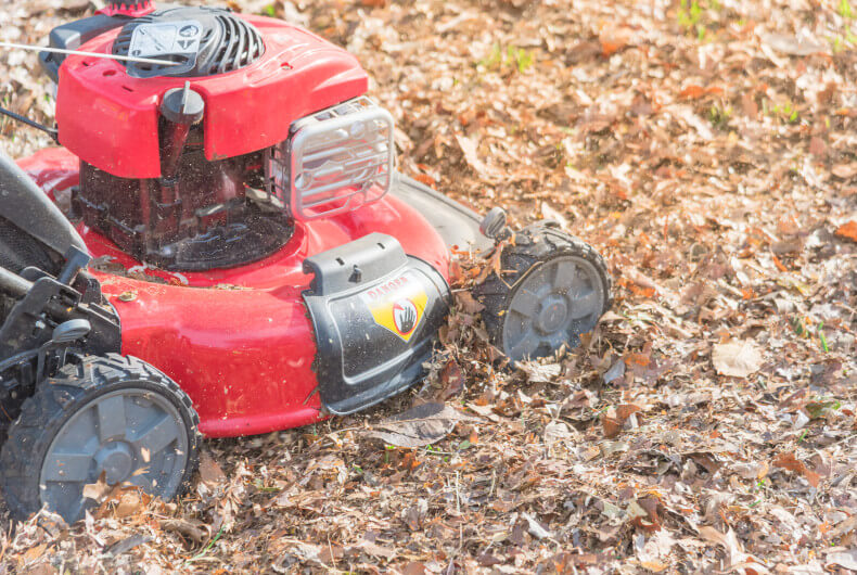 Lawn mower mulching fallen leaves