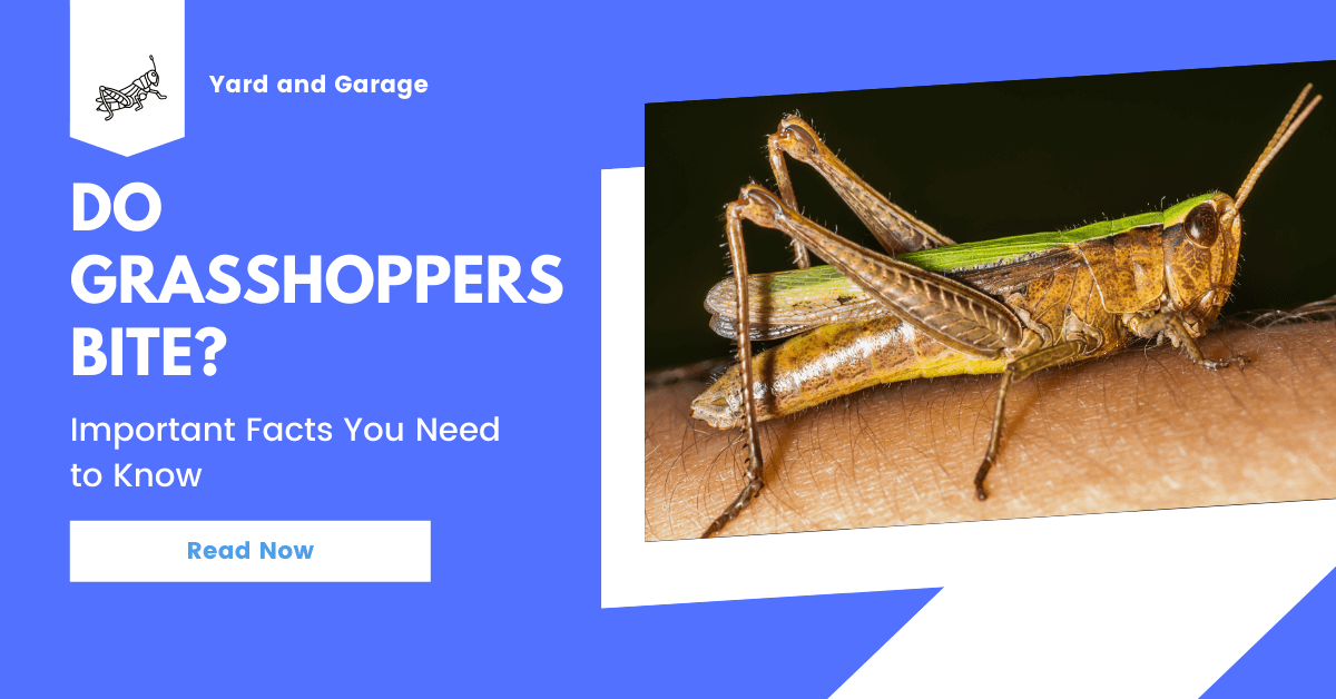 Do Bite? Important Facts You Need to Know Yard and Garage