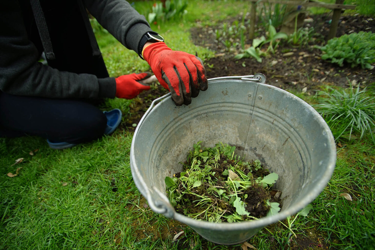 How to Clear a Yard Full of Weeds Yard and Garage